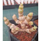 Monilaria moniliformis (A)